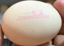 1号会员店 可生食标准鲜鸡蛋30枚 净重3斤 1号会员店自有品牌  源头直发 实拍图