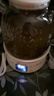 小熊（Bear）全玻璃壶体养生壶恒温壶 办公室多功能煮茶壶花茶壶 0金属养生杯 24h预约24h保温 1L YSH-M10H3 实拍图