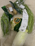 绿豆芽350g 实拍图