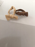 东义严选头绳女高弹力耐用无接缝发圈橡皮筋扎头发儿童礼物扎发绳10根装 实拍图
