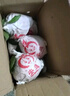 盛觅 云南沃柑橘子薄皮桔子柑橘应季水果送礼装蜜柑整箱 净重4.5-5斤精选商超果 实拍图