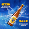 青岛啤酒（TsingTao）皮尔森拉格啤酒 450ml*12瓶 整箱装 实拍图