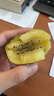 佳沛（zespri）新西兰  阳光金奇异果18粒礼盒优选果单果约101-124g 猕猴桃水果 实拍图