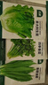 北蔬 蔬菜种子种苗大全生菜香菜菠菜夏季阳台菜籽 6种叶菜类蔬菜种子 实拍图