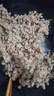 精气神 国产山黑猪肉馅750g 冷冻 约70%瘦肉馅 包子馅饺子馅馄饨肉丸子 实拍图