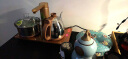金灶（KAMJOVE） 全智能电热水壶自动加水茶艺炉 304不锈钢保温煮茶器电茶壶套装 V2 37cm*20cm 0.9L 实拍图