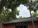 滇园优选 油松茸菌500g 云南特产 下饭菜 即食蘑菇 实拍图