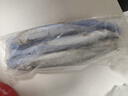 京喜加青岛海捕鲅鱼整条大鲅鱼马鲛鱼6/8两新鲜冷冻海鲜水产 无冰鲅鱼6/8两 1kg 【3~4条】 实拍图
