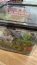 佰斯纳特（bestnut） 陈皮话梅288g/罐 蜜饯果干零食小吃水果干果脯办公室小吃 陈皮话梅 288g/罐 实拍图