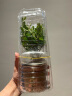 开时果 各类小盆栽绿植素材苗 小叶赤楠造景微景观植物盆景源头直发包邮 小叶赤楠（小盆） 实拍图