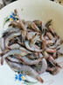 小白虾 鲜活速冻脊尾白虾海虾 连云港产地直发 200g*2包 实拍图