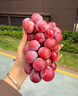 教蔬鲜生【顺丰直达】现摘无籽蓝宝石新鲜葡萄金手指黑美人拇指黑提子 1斤净重单果【10mm-15mm】 实拍图