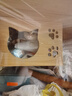 皇家狗粮 成犬狗粮 犬粮 宠物小型犬 PR27 全价犬粮≥10月8KG 实拍图