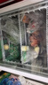 澳柯玛329升立式冷藏展示柜 单门商用保鲜冷柜超市饮料啤酒陈列冰柜冰箱 风冷循环 一级能效 SC-329SNEB 实拍图