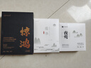 竹林鸟【新品首发】竹林鸟惊鸿Z3双动圈HIFI有线耳机挂耳式耳塞发烧级高清有麦直播音乐耳机游戏2025新款 镜面银-3.5MM有麦版 实拍图