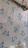 babycare婴儿抑菌凉席宝宝透气冰丝席儿童幼儿园可水洗鲸鱼喷泉56*100CM 实拍图