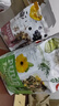 维特.魔轮田园仓鼠粮花枝鼠沙鼠金丝熊通用粮食进口天然 零食素什锦700g 实拍图