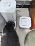 小佩智能自动喂食器SOLO白色 猫碗猫狗喂食器定时定量猫咪自动投食器 实拍图