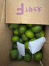 【东东农场专供】宜昌蜜桔新鲜青皮蜜橘酸酸甜甜介意勿拍新鲜采摘 蜜桔净重5斤装 实拍图