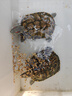 奈宠（NaiChong）小乌龟饲料通用龟粮鱼干虾干淡水巴西草龟料颗粒专用营养食物粮 淡水虾干1280ml桶【不区分颗粒大小】 大粒5mm【适合15厘米以上的龟】 实拍图