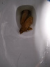 果畅宝宝便秘儿童膳食纤维乳果低聚果糖专用益生元菌水苏糖婴幼儿可选 实拍图