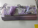 本手《鲸语星愿》主题机械键盘有线电竞游戏键盘鼠标套装台式电脑笔记本打字办公女生发光吃鸡键鼠套装 《鲸语星愿》紫白【彩光】青轴+紫色鼠标 实拍图