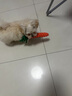 徽千方乳酸钠林格注射液100ml宠物狗狗犬猫咪兽用皮下补液脱水体液缺失 1瓶【100ml/瓶】 实拍图