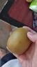 佳沛（zespri）新西兰  阳光金奇异果18粒礼盒优选果单果约101-124g 猕猴桃水果 实拍图
