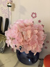 京东鲜花手感保湿绣球花仿真3d打印高档客厅餐桌乔迁摆花装饰假花拍照道具 实拍图