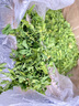 BCM烘干全叶苜蓿草幼兔干草兔子紫花苜蓿草纯叶子龙猫荷兰猪兔粮400g 实拍图