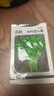 北蔬 大叶空心菜种子通心菜雍菜耐湿热蔬菜籽 大叶空心菜籽20g约380粒 实拍图