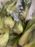上海青（油菜）约500g 实拍图