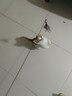 牧灵CFA赛级逗猫棒猫咪玩具自嗨解闷逗猫棒羽毛铃铛替换头小宠物用品 CFA赛级逗猫棒+橘色+彩色羽毛 实拍图
