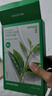 悦诗风吟（Innisfree）鲜萃肌活面膜[绿茶]10片保湿补水舒缓修护提亮改善暗沉 实拍图