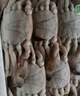 至鲜 吕四冻梭子蟹小蟹块600g约30-42块 液氮速冻免处理海螃蟹新鲜海鲜生鲜200g*3 实拍图