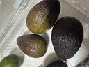 京鲜生 秘鲁牛油果 中果6粒装 单果110g+（非即食） 生鲜水果 实拍图