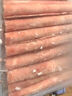 鲜京采 国产原切牛肉卷400g*3 生鲜牛肉 火锅食材 牛肉片 京东自有品牌 实拍图