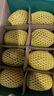 佳沛（zespri）新西兰阳光金奇异果 8个装 特大果单果重约122-146g 水果猕猴桃 实拍图