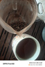 华祥苑 茶叶 红茶 武夷山梧桐红茶 礼盒装250g  实拍图