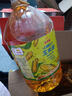 金龙鱼 食用油 物理压榨葵花籽油6.18L*2 实拍图