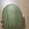 京鲜生 新疆哈密瓜/西州蜜 4粒 净重10斤起 单果2.5斤起 生鲜水果礼盒 实拍图