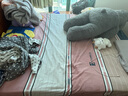 海马海木天然乳胶席梦思床垫独立弹簧3E环保椰棕家用床垫子软硬两用可定制 护脊B款:加密弹簧+3E环保棕 偏硬约22cm厚 1.5米*1.9米 实拍图