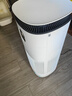 东芝（TOSHIBA）宠物空气净化器猫用除醛除臭狗用大白梨PET大风量吸浮毛除过敏原等离子消毒杀菌异味【国家补贴】 实拍图