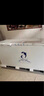 澳柯玛（AUCMA）737升家用大容量冰柜 卧式大冰箱 冷藏冷冻单温冷柜 商超雪糕柜 一级能效 BC/BD-737TC 国家补贴 实拍图
