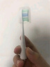 引域适配usmile笑容加电动牙刷头Y1/Y1S/Y20/U1/U2/P1/P3/P4/P10/P20pro大理石通用呵护软毛专业款刷头 4支 粉色专业款｜高效清洁（单管独立包装） 实拍图