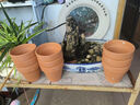 红陶花盆绿植盆栽国际盆工厂陶瓷花盆盆多肉育苗盆多肉花盆有孔 9x9cm（3个装） 实拍图