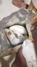 京东超市新鲜猫山王榴莲马来西亚D197液氮冷冻水果单果3-3.5斤【保4房】 实拍图