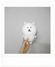 INSTAX富士instax 一次成像 智能相机PAL 丹宁蓝  单机标配 实拍图