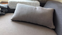 COZY EARTH出口欧美羽绒靠垫抱枕鹅鸭绒腰枕客厅卧室床头沙发大靠背正方枕芯 55*55（单个装） 实拍图
