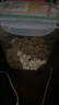 WEYES冻干鸭肉粒450g桶装宠物零食肉干营养发腮高蛋白鸡胸肉冻干 实拍图